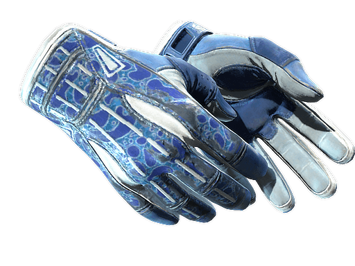 ★ Sport Gloves | Amphibious