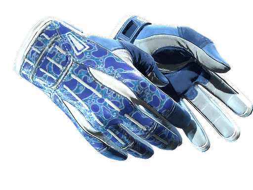 ★ Sport Gloves | Amphibious