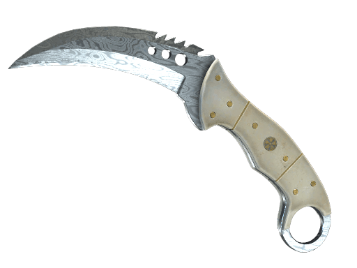 ★ StatTrak™ Talon Knife | Damascus Steel
