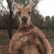 wwwwwww