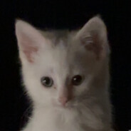 Kami