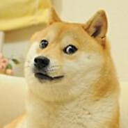 Doge