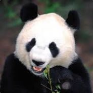 MY