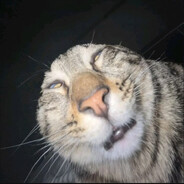 meow