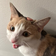 Subu