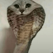 keerdjvn
