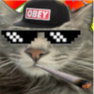 1nonlyhk