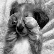 sleepink