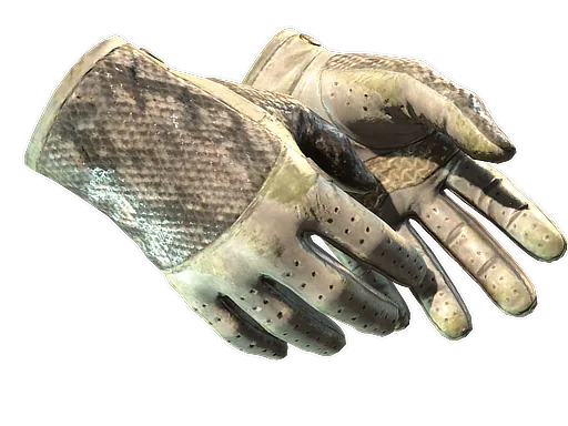 ★ Driver Gloves | King Snake