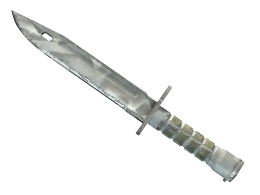 ★ Bayonet | Urban Masked