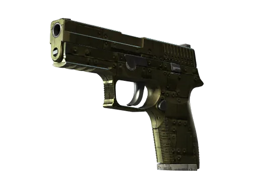 StatTrak™ P250 | Iron Clad
