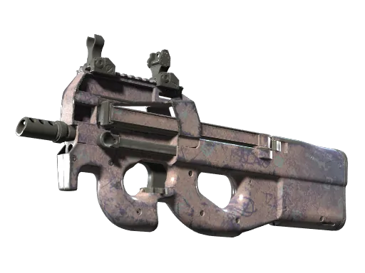 P90 | Wash me (Field-Tested)