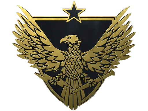 Brigadier General Pin