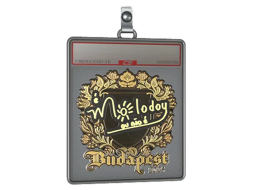 Sticker Slab | molodoy (Gold) | Budapest 2025