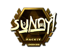 Sticker | suNny (Gold) | Boston 2018