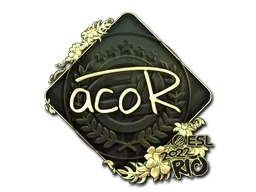 Sticker | acoR (Gold) | Copenhagen 2024