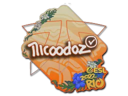 Sticker | nicoodoz | Antwerp 2022