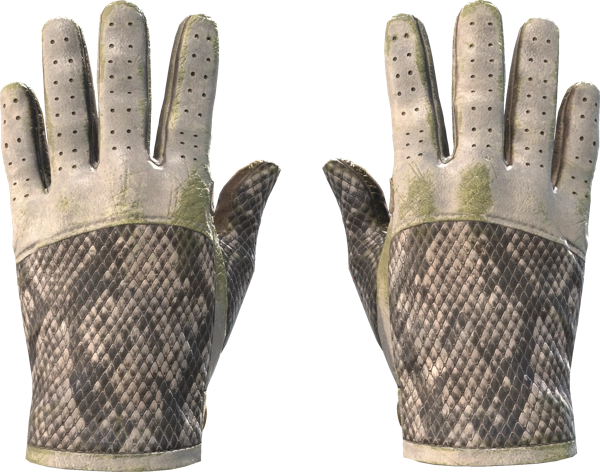 ★ Driver Gloves | King Snake