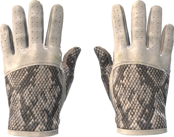 ★ Driver Gloves | King Snake