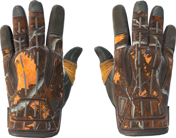 ★ Sport Gloves | Big Game