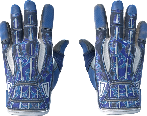 ★ Sport Gloves | Amphibious
