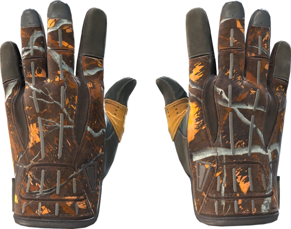★ Sport Gloves | Big Game