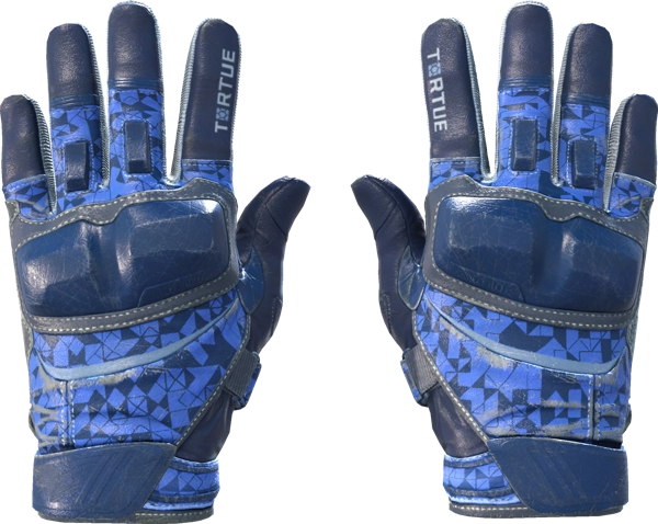 ★ Moto Gloves | Polygon