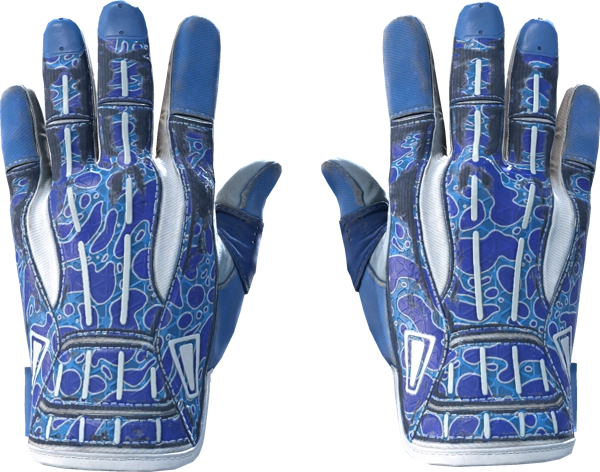 ★ Sport Gloves | Amphibious