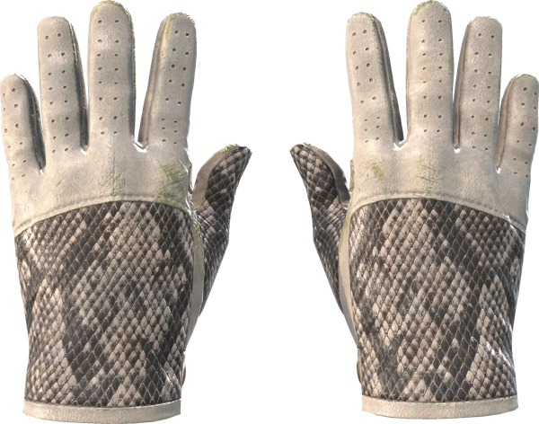 ★ Driver Gloves | King Snake