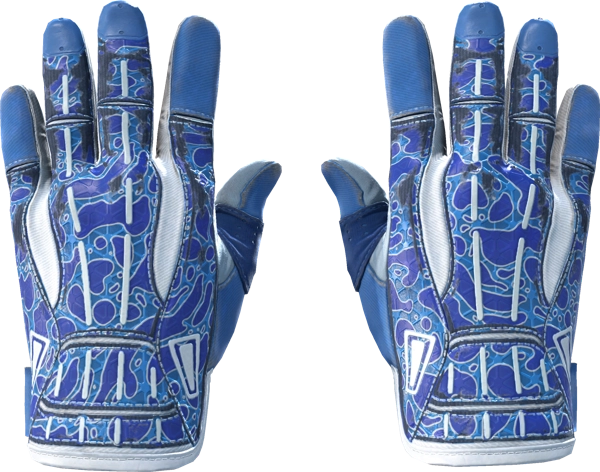 ★ Sport Gloves | Amphibious