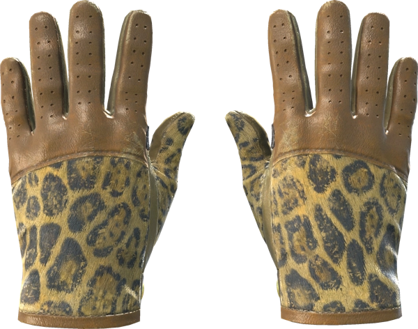 ★ Driver Gloves | Queen Jaguar