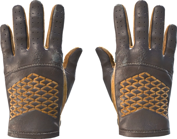 ★ Driver Gloves | Overtake