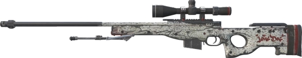 AWP | LongDog