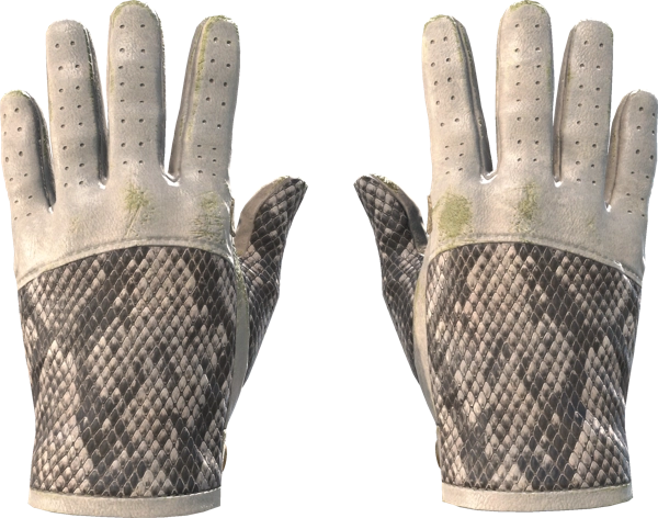 ★ Driver Gloves | King Snake