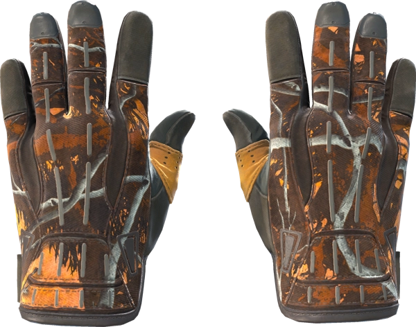 ★ Sport Gloves | Big Game