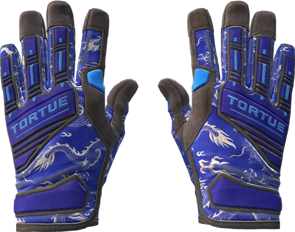 ★ Specialist Gloves | Cloud Chaser