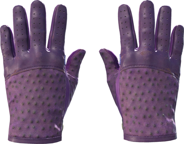 ★ Driver Gloves | Plum Quill