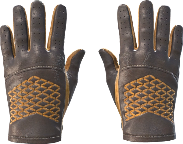 ★ Driver Gloves | Overtake