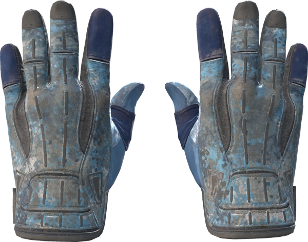 ★ Sport Gloves | Frosty