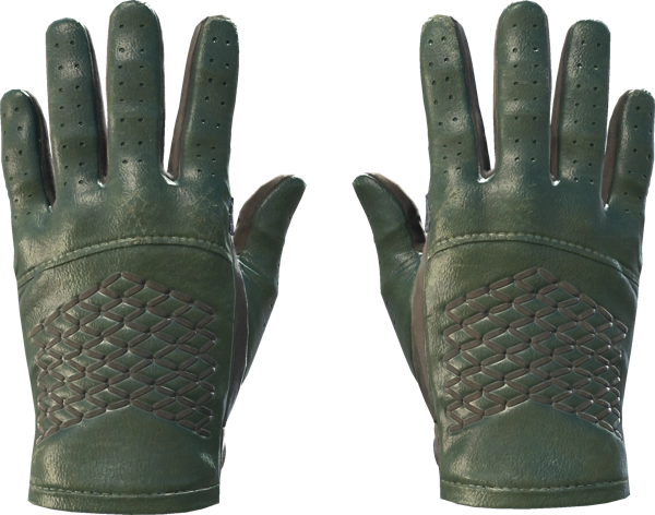 ★ Driver Gloves | Racing Green