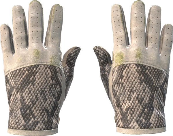 ★ Driver Gloves | King Snake