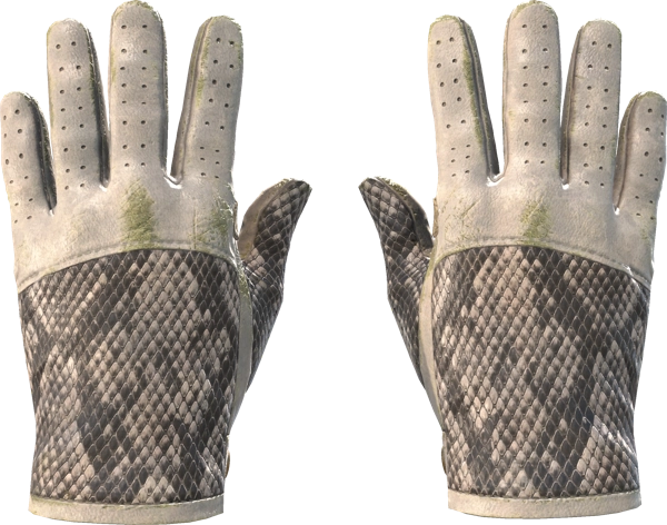 ★ Driver Gloves | King Snake