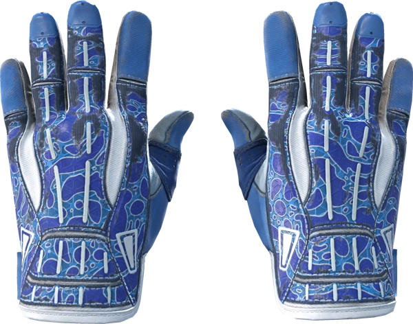 ★ Sport Gloves | Amphibious