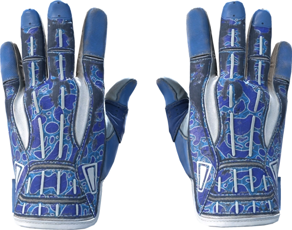 ★ Sport Gloves | Amphibious