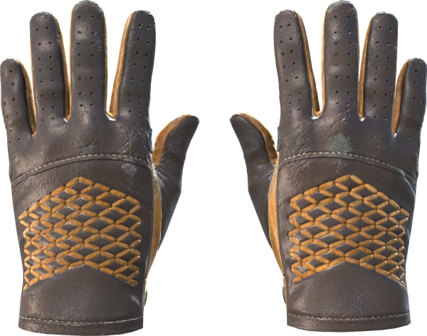 ★ Driver Gloves | Overtake