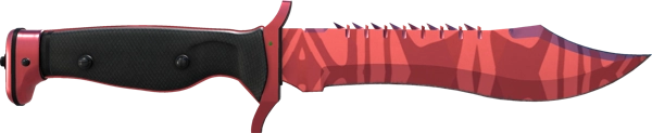 ★ Bowie Knife | Slaughter