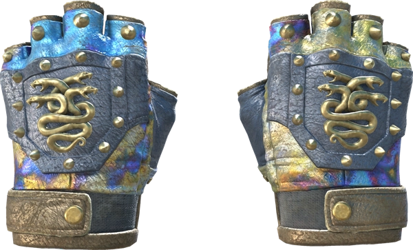 ★ Hydra Gloves | Case Hardened