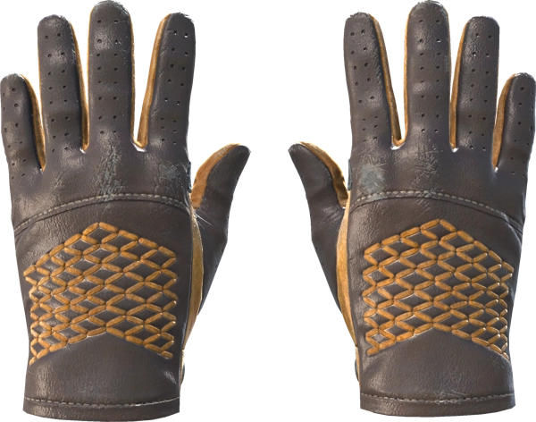 ★ Driver Gloves | Overtake
