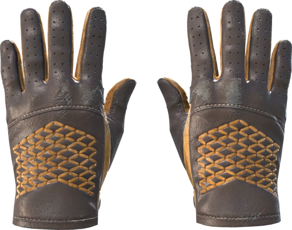 ★ Driver Gloves | Overtake