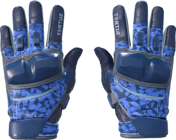 ★ Moto Gloves | Polygon